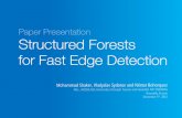 Structured Forests for Fast Edge Detection [Paper Presentation]