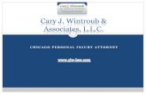 Cary j. wintroub & associates