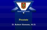 409 prostate diseases