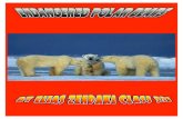 331 elias endangered polar bears
