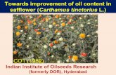 Towards improvement of oil content in safflower (Carthamus tinctorius L.)