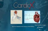 CardiaX I-Corps@NIH 121014
