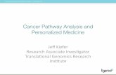 Psb tutorial cancer_pathways