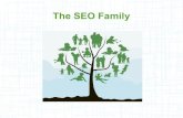 SEO Family - Which one are you?