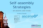 Self-assembly Strategies