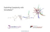 Exploiting Complexity with SenseMaker®