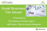 Small Business Tax Issues