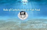 Role of carbohydrate in fish feed