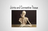 Joints and Connective Tissues