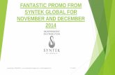 Fantastic promo from syntek global for November and December 2014