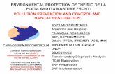 ENVIRONMENTAL PROTECTION OF THE RIO DE LA PLATA AND ITS MARITIME FRONT.ppt