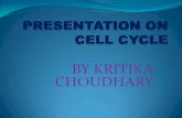 Presentation on cell cycle