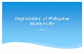 Degradation of Philippine Marine Life (2013)