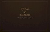 Python 45 minutes hangout #3