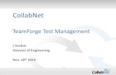 Team forge Test Management with TestLink