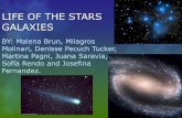 Life of the stars 3