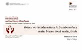 Virtual Water Interactions in Transboundary Water