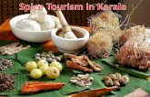 spice tourism in kerala
