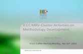 ICCC MRV Cluster Activities on Methodology Development