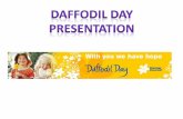 Daffodil Day Reflective Presentation