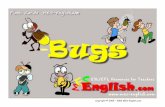 Insects in english (insetos em inglês)