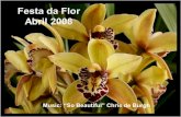 Festa da Flor2008