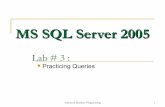 Sql server lab_3