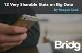 12 Very Sharable Stats on Big Data