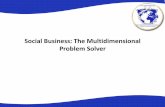 Social business - Youth Initiative  Promotion Foundation