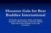 Houston gala fundraiser for best buddies