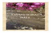 Journey to Israel, Part 2, M. Brown
