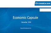 Economic Capsule - December 2014