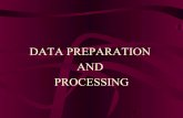 Data Preparation and Processing
