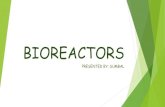 Bioreactors for bioremediation.