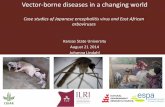 Vector-borne diseases in a changing world: Case studies of Japanese encephalitis virus and East African arboviruses