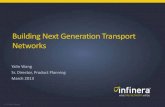Building Next Generation Transport Networks