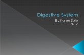 Karen Sule's Digestive System Powerpoint