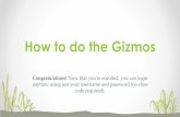 How to do the gizmos