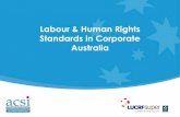 Labour and Human Rights Standards in Corporate Australia.ppt