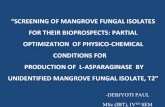 Screening of mangrove fungal isolates ecosystem for