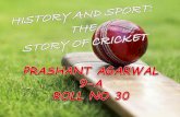 History and sport     the story of cricket