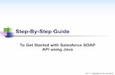 Step-By-Step Guide To Get Started With Salesforce SOAP API Using Java v1.1