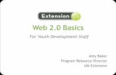Extension 2.0 Basics
