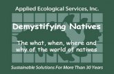Demystifying Natives