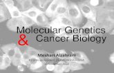Molecular Genetics and Cancer Biology