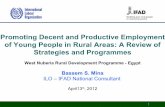 Promoting decent and productive employment: review of strategies and programmes