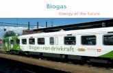 Biogas-energy of the future
