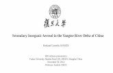 The role of Secondary inorganic aerosol in the Yangtze River Delta of China