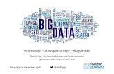 Big Data for Business & Social Innovation