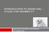 Introduction to Snow Owl - A tool for SNOMED CT
